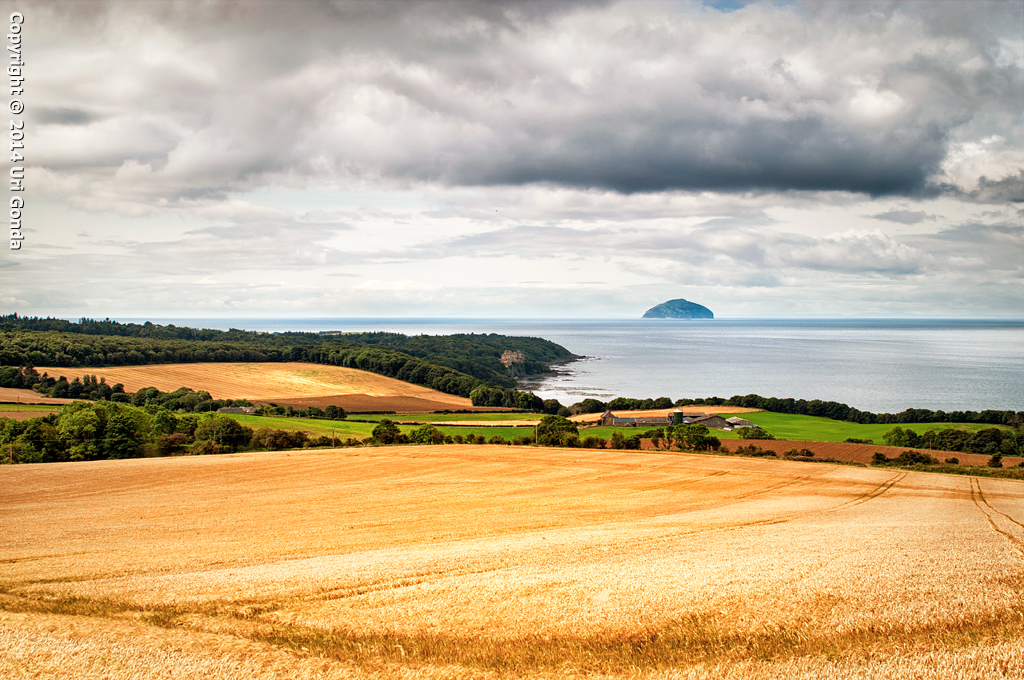 אילסה קרג (Ailsa Craig)