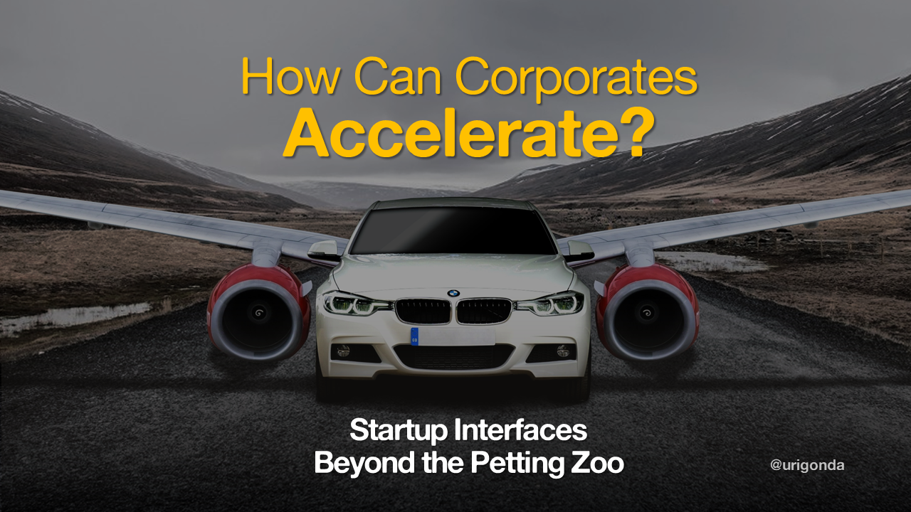How Can Corporates Accelerate